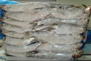 【粗加工水產品】_吉林長春市粗加工水產品價格_粗加工水產品批發_吉林長春市粗加工水產品供應商-搜了網