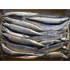 特價供應臺灣冷凍秋刀魚 日本秋刀魚_冷凍水產品_加工水產品_簡加工類_供應_食品商務中心_食品伙伴網