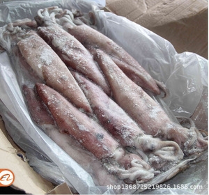 【福建水產品】福建水產品價格/圖片_福建水產品批發/采購_福建水產品廠家/供應商