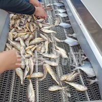 價格 廠家 中國供應商