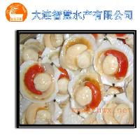 凍半殼夏夷扇貝