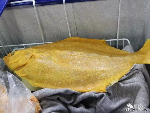 尋漁記丨積極參加2019年中國國際漁業博覽會