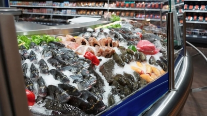 凍品既要保鮮又要保冷?冷凍食品界以革新技術滿足食客味蕾