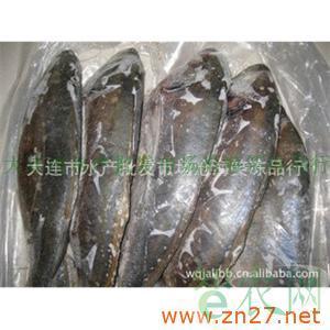 供應冷凍粗加工水產品美國進口銀鯧魚_大連市水產批發(fā)市場滄海笑凍品行_智農分級_知e農網(智農網)