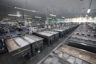 山東榮成市石島海都食品新型制冷技術領跑 冷 市場