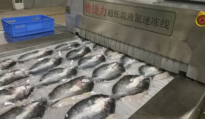 速凍后的魚比活魚更有營養嗎?