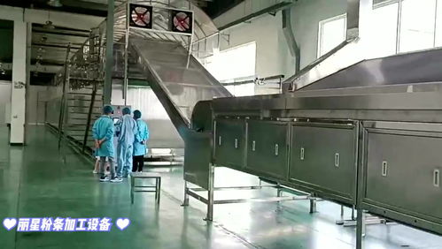 粉絲粉條生產線帶烘干制冷老化,自動化粉條加工設備室內運行,加工粉條出機無需晾曬