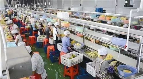 扎心了 誰說農產品深加工只能做吃喝 日本已經 玩出花 了