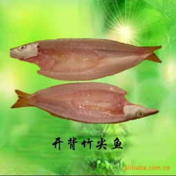 廠家批發 竹尖魚 冷凍粗加工水產品 海產品 海南價格信息