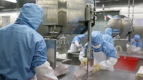 再添7個 浙江此類國家級基地增至20個