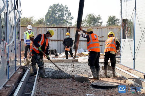 東莞凍品集中監管倉擬月底完工交付