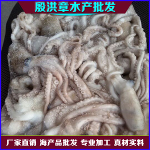 【水章魚】水章魚價格/圖片_水章魚批發/采購_水章魚廠家/供應商