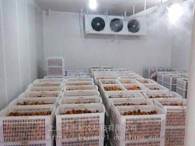 果蔬保鮮冷藏酒店冷庫設計建設水產(chǎn)海鮮冷凍庫牛羊肉制品速凍庫