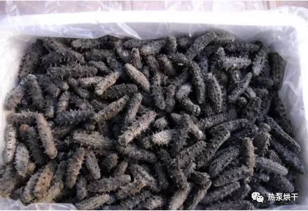 海鮮 水產(chǎn)品 烘干比速凍更有 錢 景