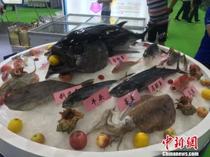 第五屆漁博會廣州舉行 海內(nèi)外上千種海產(chǎn)品亮相