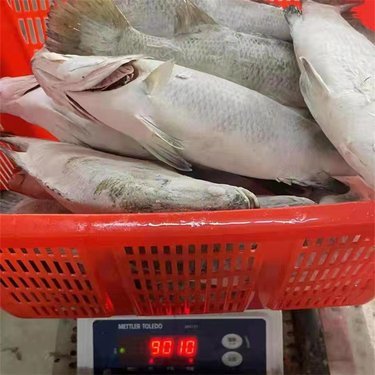 濱州市帆海水產(chǎn)品