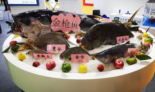 快訊 第六屆中國 廣州 國際漁業博覽會開幕