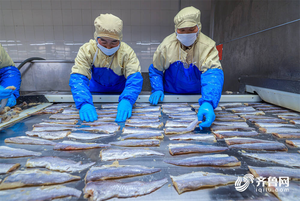 山東榮成:水產品出口加工忙_威海要聞_威海_齊魯網
