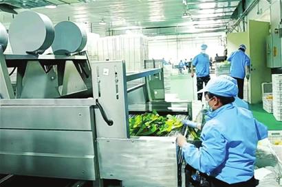 做足 糧頭食尾 農頭工尾 大文章