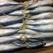 連云港市贛榆區建華水產冷凍廠