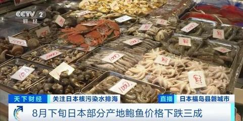 日本水產品市場遭遇寒冬 價格暴跌、訂單銳減，產業轉型與求生之路