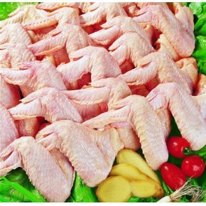 一站式冷凍食品綜合服務 從生產到出口的全產業鏈解決方案