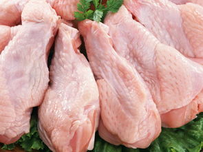 靠譜鮮肉供應商推薦 利源農副產品配送