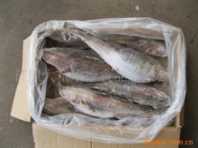 日照冷凍粗加工水產品與冷凍肉批發綜合解析