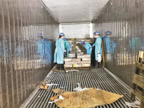 深圳嚴格監管進口凍品 每批次均需抽樣核酸檢測
