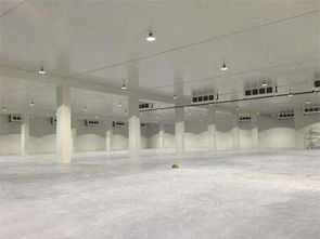 降低冷凍肉批發冷庫運營成本的有效策略