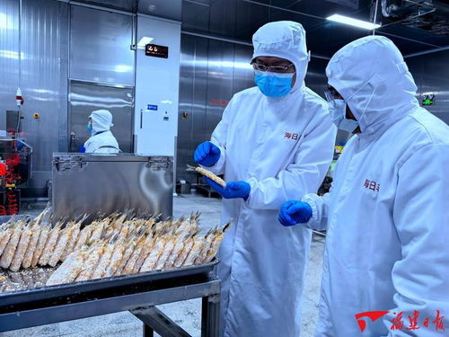 泉州 海絲潮涌奮楫篤行，冷凍肉批發蓄勢發展