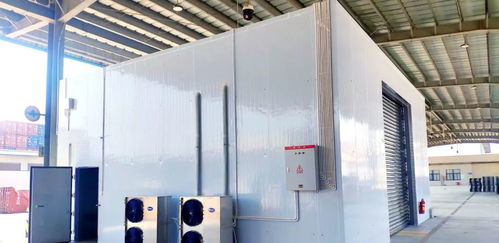 廣澳港區冷鏈查驗場地建成投用，助力水產品冷凍加工與直接進口升級